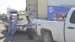 Apoyo Vital Concentrado y Maíz para Ganaderos