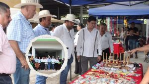 Apoyo a Productores Nuevos Centros Lecheros en Veracruz