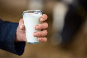 Brote de Infecciones Leche Cruda Causa Alerta en Florida