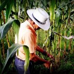 Campeche, Pilar de la Autosuficiencia Alimentaria
