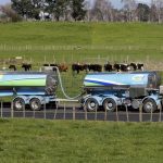 Fonterra ajusta al alza precio de leche por estabilidad mundial