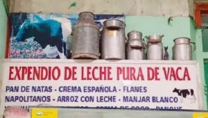 Ganaderos de Yucatán Se Resisten a Desaparecer