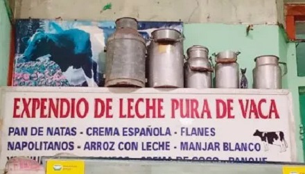 Ganaderos de Yucatán Se Resisten a Desaparecer