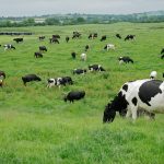 Gobierno de Sinaloa Negocia Precio de la Leche