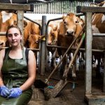 Productores de Leche de Minnesota Alzan la Voz