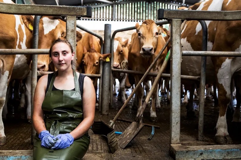 Productores de Leche de Minnesota Alzan la Voz