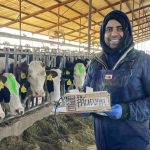 Tecnología Revoluciona la Ganadería Lechera