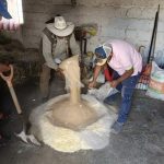 Tlaxcala Invierte en la Alimentación Ganadera