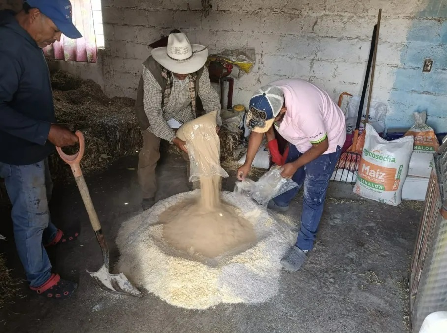 Tlaxcala Invierte en la Alimentación Ganadera