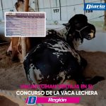Vacas al Liderazgo La Leche Sigue Fluyendo