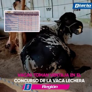 Vacas al Liderazgo La Leche Sigue Fluyendo
