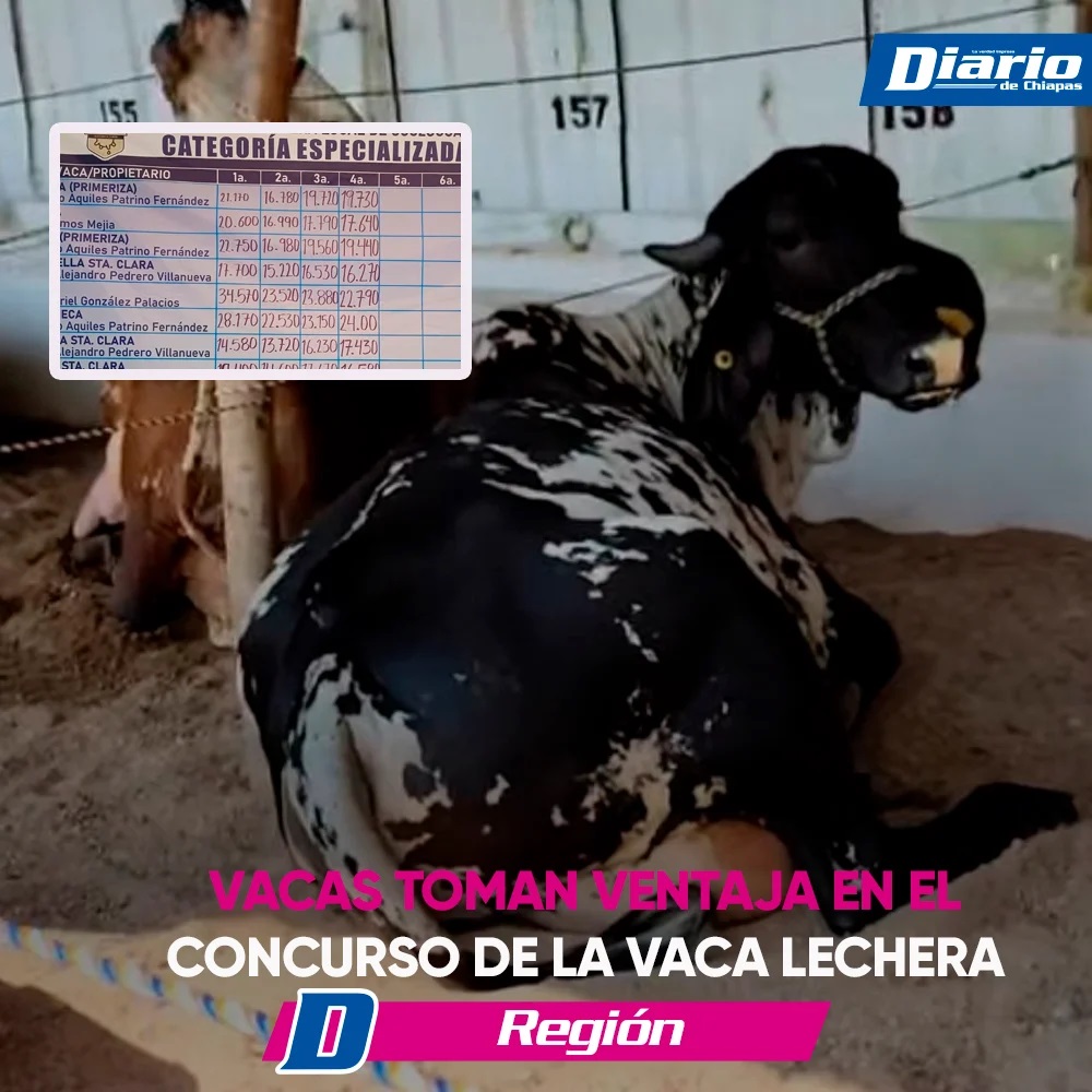 Vacas al Liderazgo La Leche Sigue Fluyendo