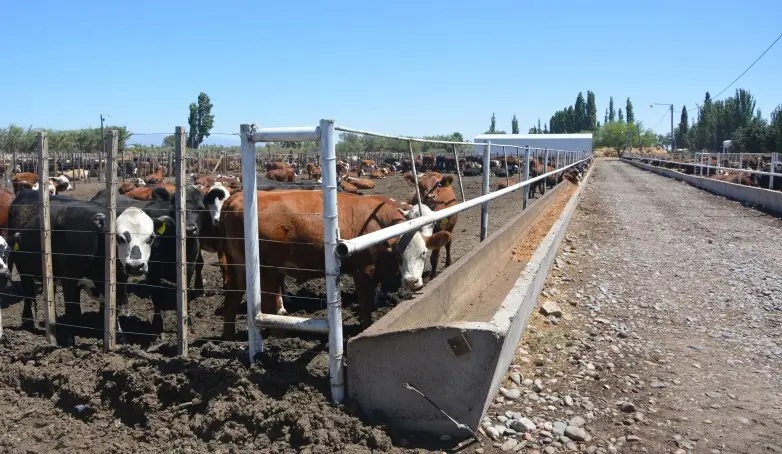 Ahome Produce Más Leche, Pero