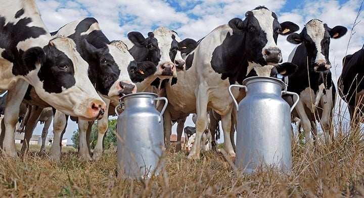 Alerta Láctea 42 de Productores Fuera