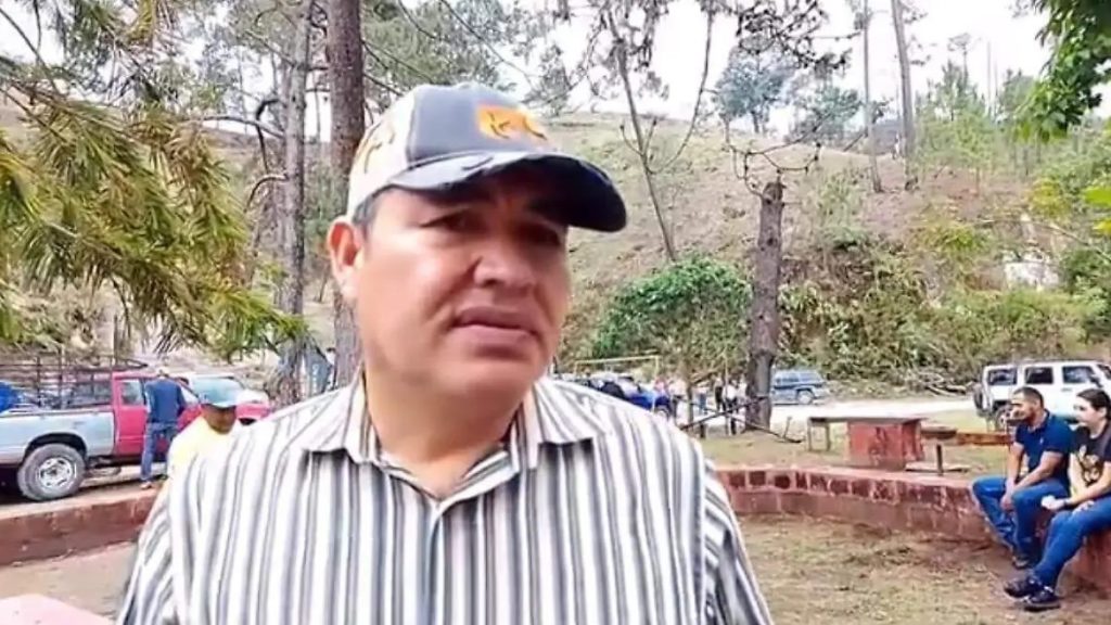 Alerta en Nayarit La Rabia Paralítica Ataca al Ganado