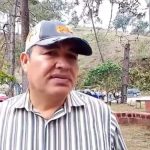 Alerta en Nayarit La Rabia Paralítica Ataca al Ganado
