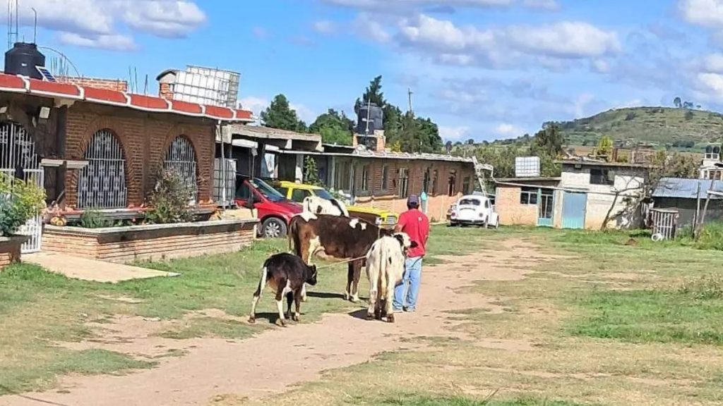 Ganaderos de Tlaxcala, Víctimas de Robo