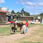 Ganaderos de Tlaxcala, Víctimas de Robo