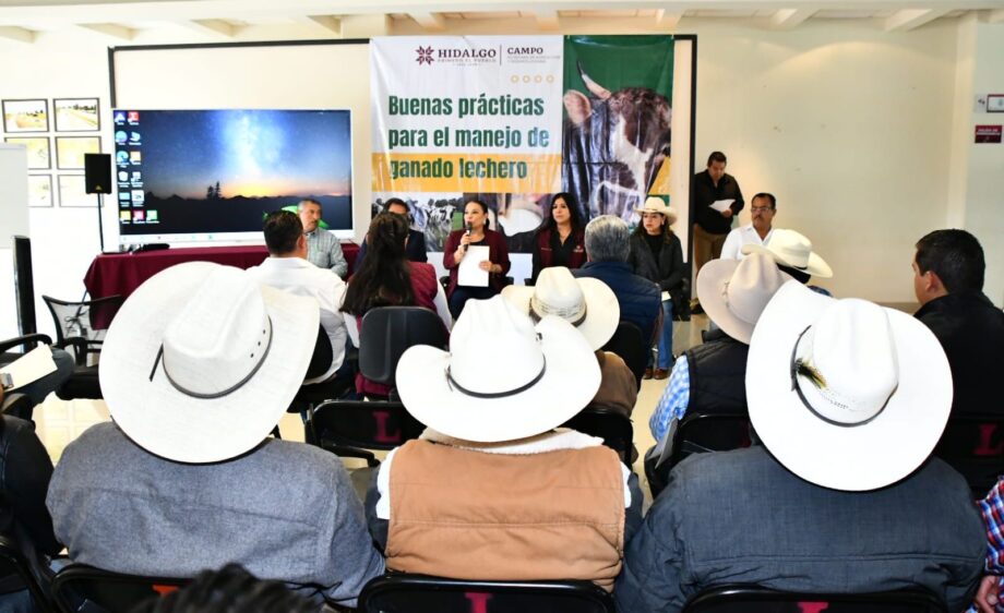 Ganaderos de Tulancingo Suben de Nivel