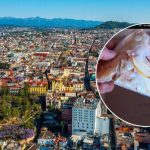 Pizza de Yoghurt La Locura Láctea en Xalapa
