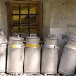 Producción Mundial de Leche Lento, Pero Sube