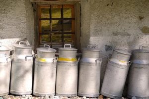 Producción Mundial de Leche Lento, Pero Sube