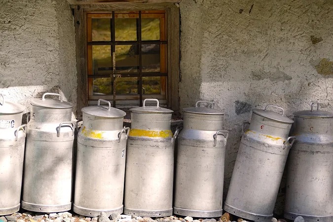 Producción Mundial de Leche Lento, Pero Sube