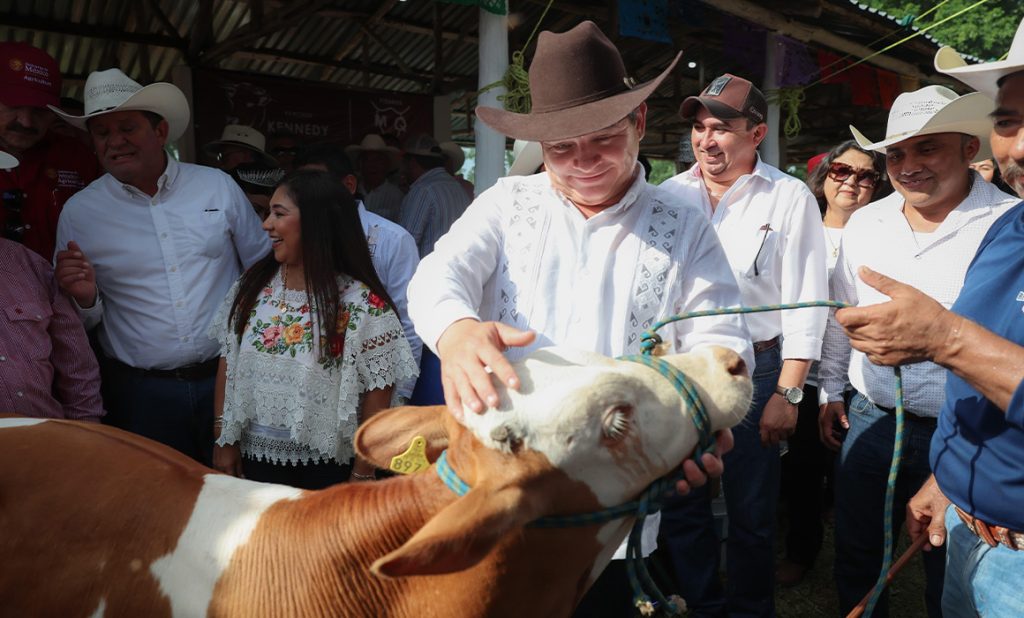 Yucatán Quiere Dejar de Ser Último en Leche