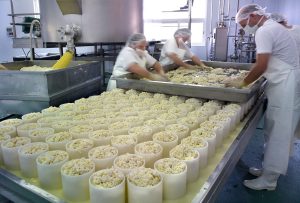 Asfixia Importadora Queso Extranjero Hunde a Local
