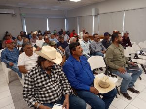 Barrido contra Tuberculosis y Brucelosis