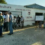 Campeche Despega en Producción Láctea