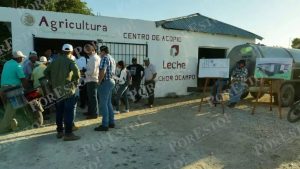 Campeche Despega en Producción Láctea