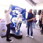 CowParade Llega a La Laguna