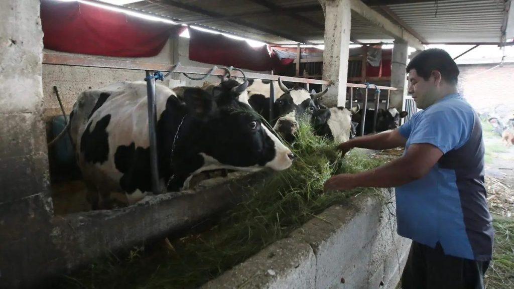Crisis Láctea La Lucha de Productores de Puebla
