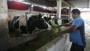 Crisis Láctea La Lucha de Productores de Puebla