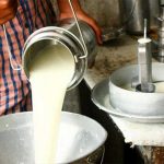 Crisis en el Rancho Costos Devoran la Ganancia