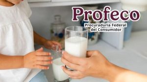 Cuál Es la Mejor Leche