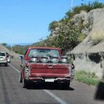 Estrategia Láctea Productores Buscan Refugio en Liconsa