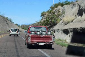 Estrategia Láctea Productores Buscan Refugio en Liconsa