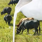 Estructura Sader Segalmex Pierde Leche y Fertilizantes