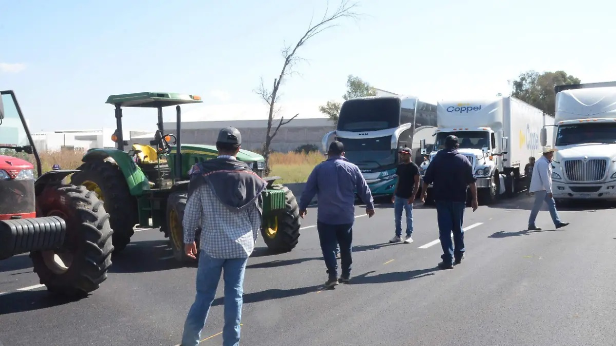 Guanajuato Blindará Precios al Campo