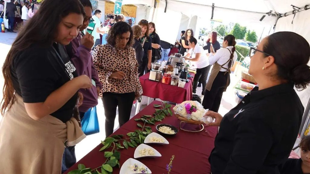 La Guerra del Queso Ilegal