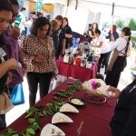 La Guerra del Queso Ilegal