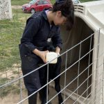 Mujeres al Poder Ellas Lideran la Producción Pecuaria