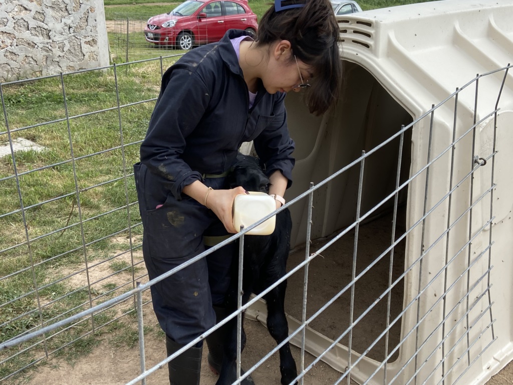 Mujeres al Poder Ellas Lideran la Producción Pecuaria