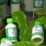 Mujeres transforman el nopal en yogurt artesanal en Puebla