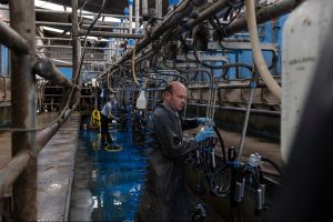 Nestlé Sacude el Mercado Irlandés