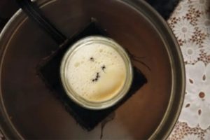 No es un Error El Yogurt Búlgaro Lleva Hormigas
