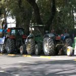 Protesta Campesina en la Avenida Municipio Libre, en la Benito Juárez