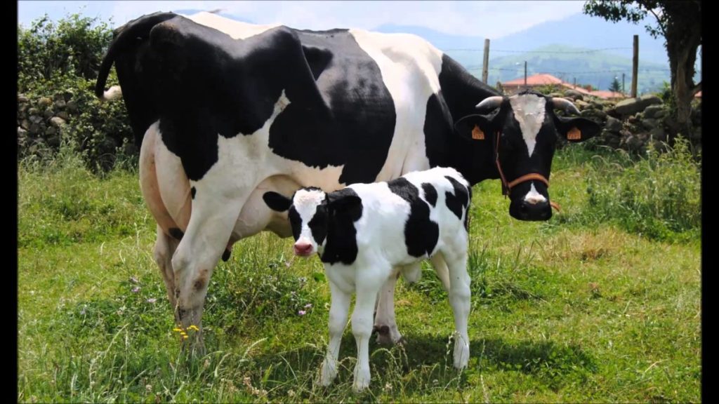 Alerta Láctea La Federación Juega Contra el Campo